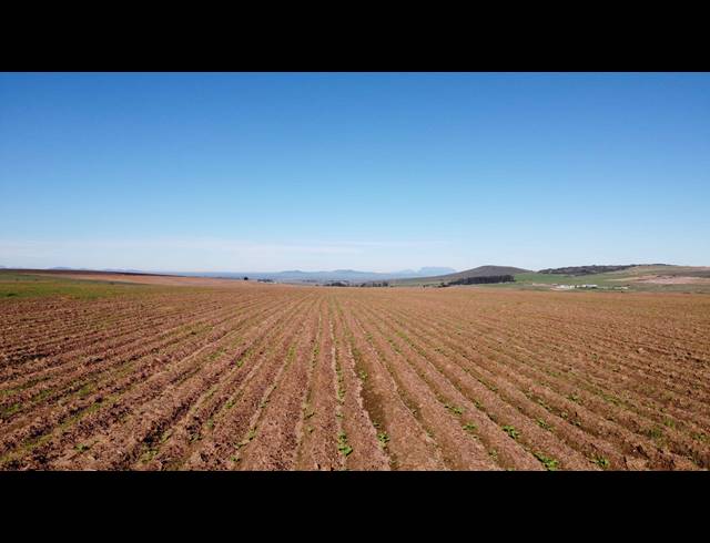 110HA FARM FOR SALE IN MALMESBURY RURAL
